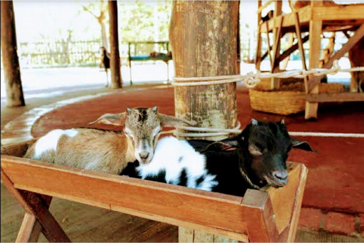 Olimpia Park Resort - Resort Em Olímpia Eksteriør bilde